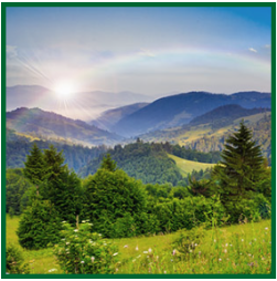 Agenzia immobiliare Lugano Terreni